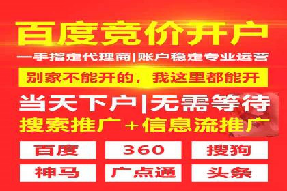 成功SEM托管代运营案例分析